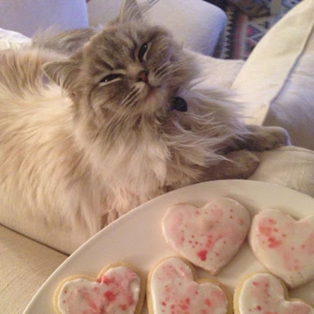 Meet your Posher, Aubriana